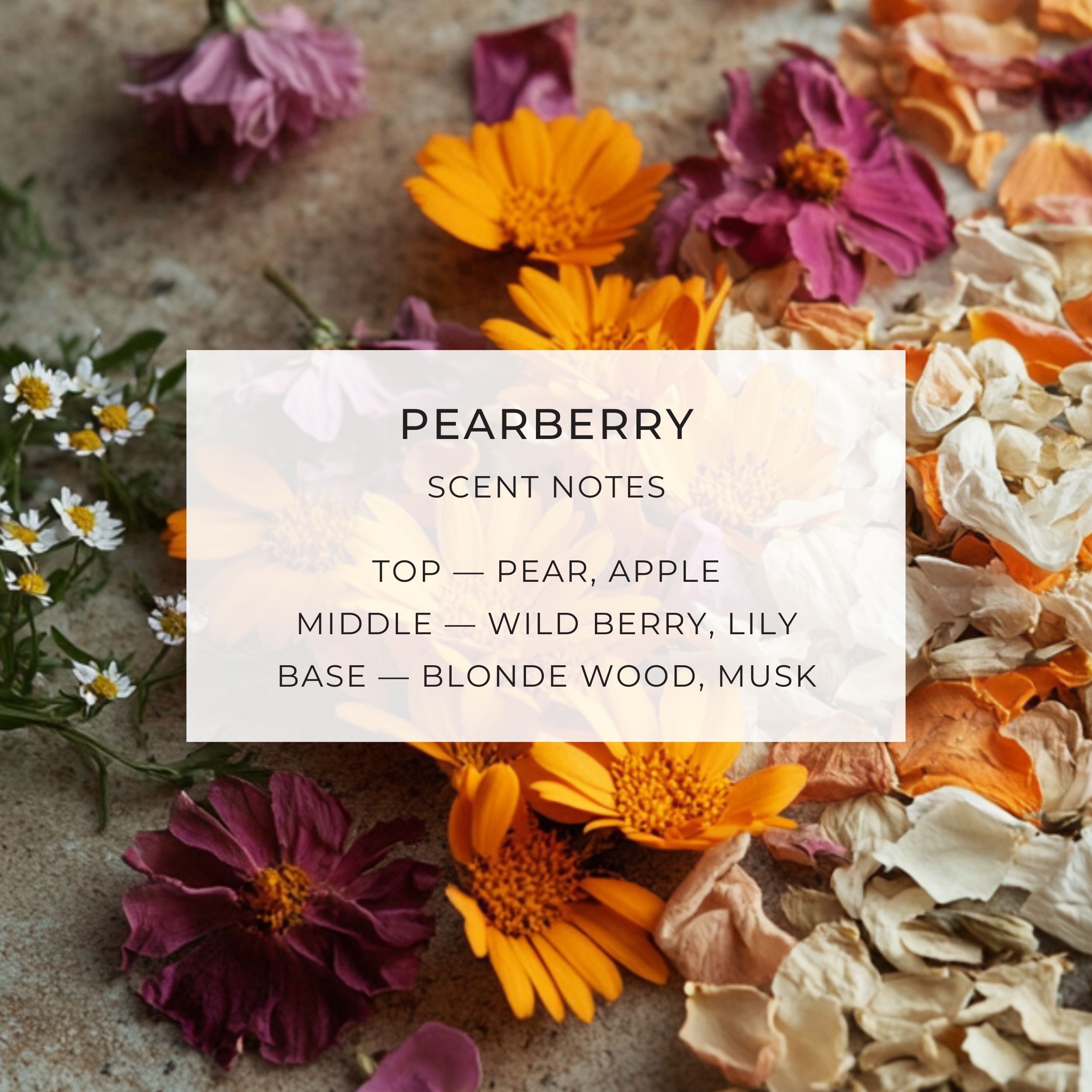 Botanical Infused Body Oils