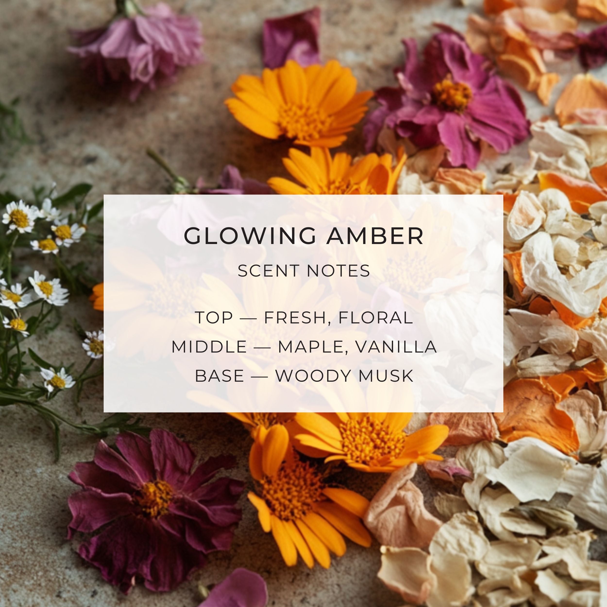 Botanical Infused Body Oils